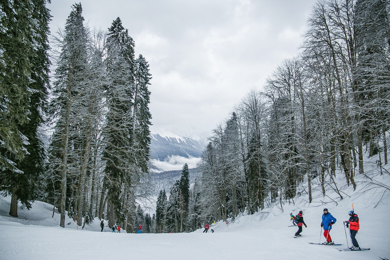 Skiing Resorts